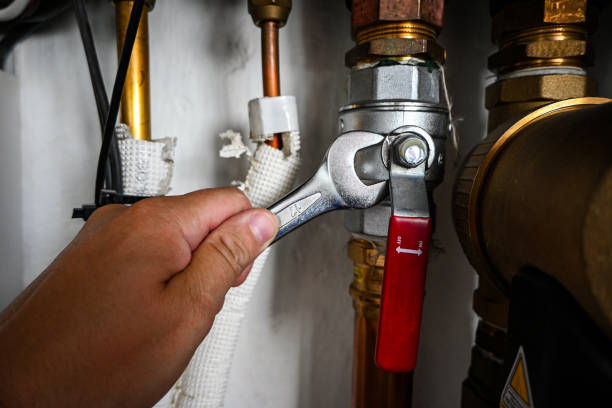 Best Toilet Repair Services  in Summitville, IN